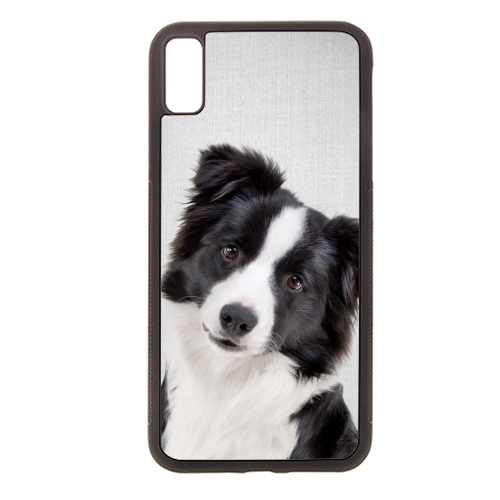 Border Collie - Colorful - stylish phone case by Gal Design