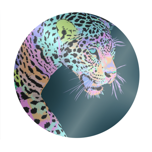 COLOUR POP LEOPARD - Circle Sticker by PEARL & CLOVER